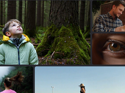 Seaweed Screenshot 1