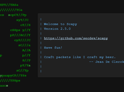 Secdev Scapy Screenshot 1