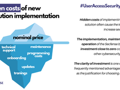 Hidden costs of new IT solution implementation