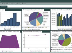 Executive Information System for DemoShop