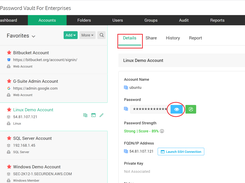 Securden Password Vault Accounts View