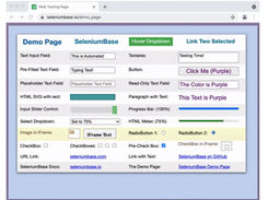 SeleniumBase Screenshot 1
