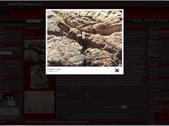 Show Product Image