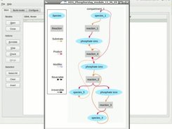 Displaying SBML models with semanticSBML 1.8