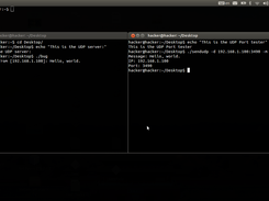 sendupd in action