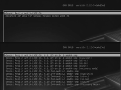 Standard Grub and Advanced Options