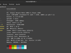 Senpai Respin Mint Mate Debian Screenshot 2