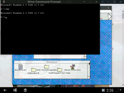Programs emulations