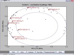 Tucker-1 correlation loadings: one assessor highlighted