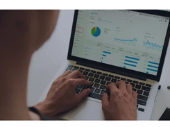 SEO Alive Screenshot 1