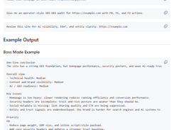 SEO GEO Audit Screenshot 1