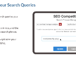 Choose your search queries