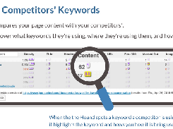 Find your competitors' keywords