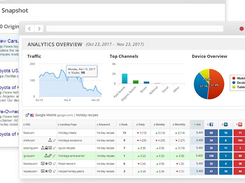 SEO Web Analyst Screenshot 1