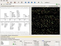 SeqFreed in dual page mode