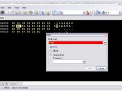 Data offset