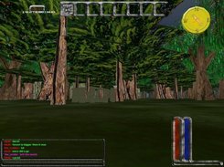 A forest shot