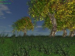 grass