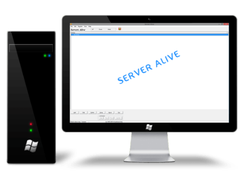 Servers Alive Screenshot 1