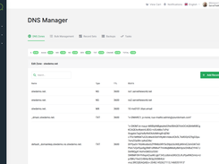 ServeTheWorld DNS Manager