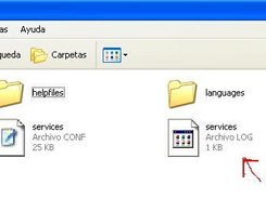 services-log