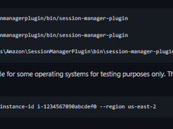 Session Manager Plugin Screenshot 1