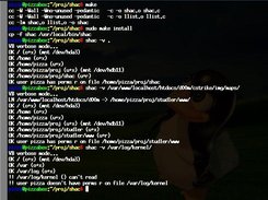 example install and usage