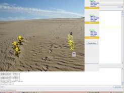 the battlesystem, currently using some placeholder gfx
