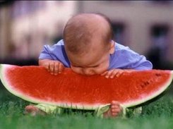 shahinbiball.com Screenshot 1