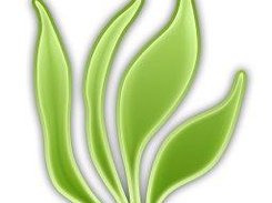 SharkEmu Manager v3 Screenshot 1