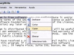 SharpWrite, using Luna Silver Theme