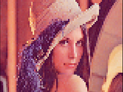 Lenna in a terminal using 24 bit colors