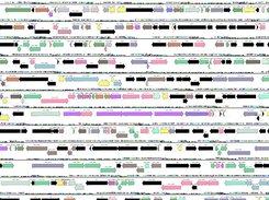 Chromosome Map visualization from genome-in-code package using Shoal Shell