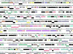 Chromosome Map visualization from genome-in-code package using Shoal Shell