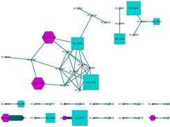 GCModeller virtual cell for dynamics Two-Component System in Xcc 8004