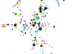 Pathway network visualize using shoal interacting with cytoscape software for bacteria Xanthomonas oryzae oryzicola BLS256 (Right click can download the full size image)