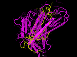 Mapping (in yellow) of conserved polypeptide sequences on an AA9 protein (Busk, Lange 2015 BMC Genomics 16, 368.)