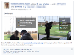 Show Facebook Computer Vision Tags Screenshot 2