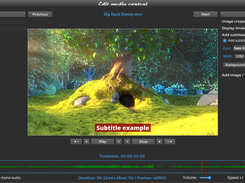 Subtitles burning