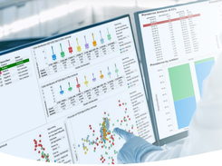 Signals Translational Screenshot 2