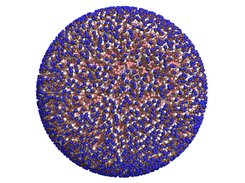 Vesicle built with vesicle_builder