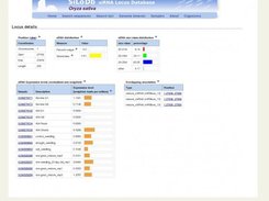 Details page for an sRNA locus