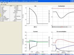 Volume regulation model described in Terashima et al, 2006