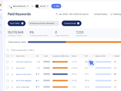 Paid Keywords Analysis
