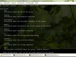 The sysinfo2 help instructions.