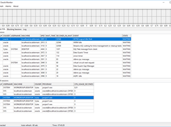 Simple Oracle Monitor Screenshot 2