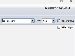 Secure client option