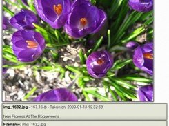 Viewing an image from an album.