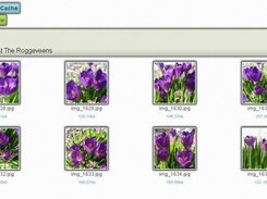 Viewing images in an album.