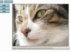 A random image on the home page.